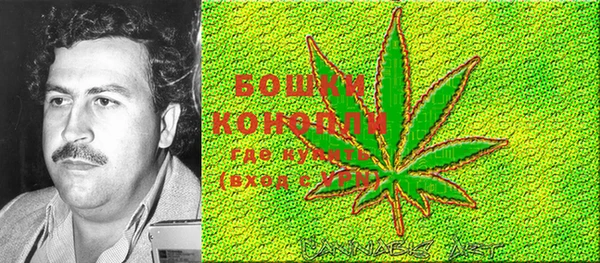 ECSTASY Коряжма