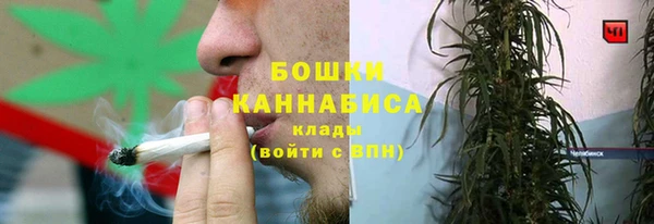 ешки Дмитриев