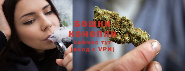 ешки Дмитриев