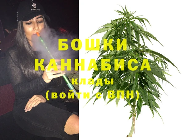 ешки Дмитриев