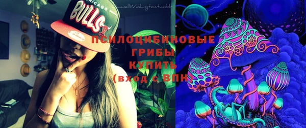 ешки Дмитриев