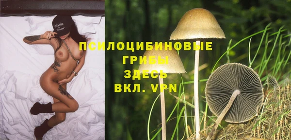ешки Дмитриев