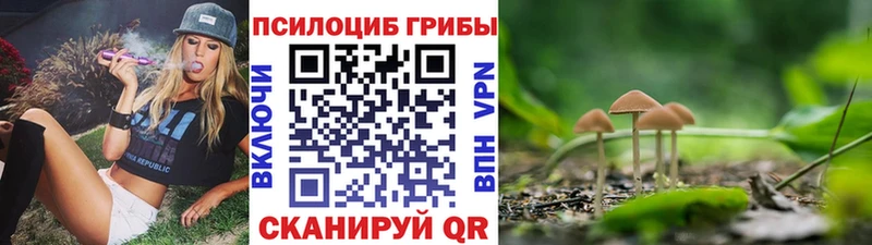 Псилоцибиновые грибы Magic Shrooms  дарнет шоп  Ульяновск 